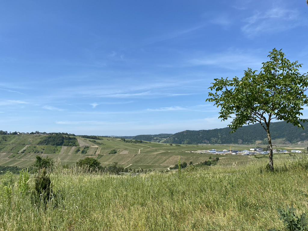 Landschaft mit Baum Landschaft mit Baum